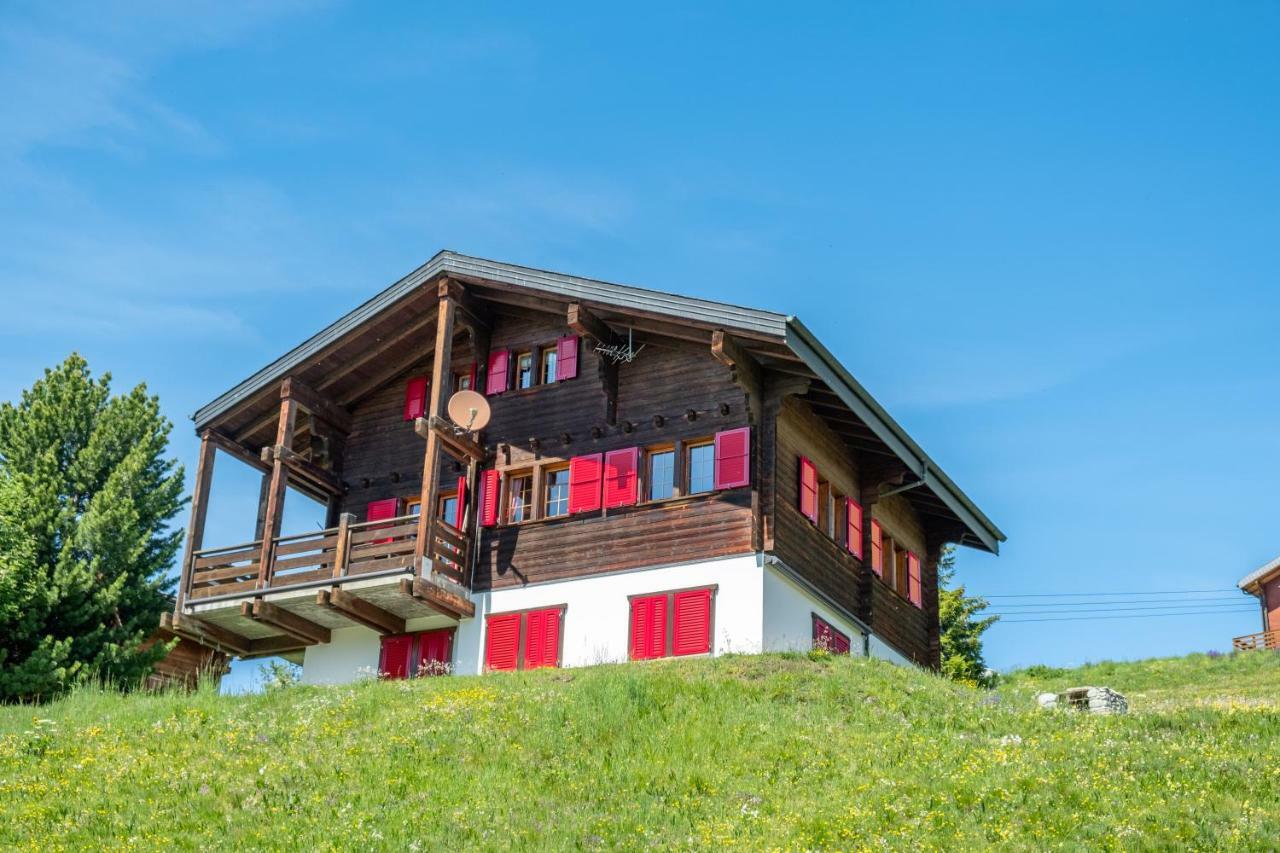 Ferienwohnung Chalet Gerbera Rosswald Exterior foto